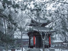 -碑林公园
