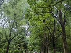 -洛阳市隋唐城遗址植物园