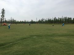 阳光草坪-上海长兴岛郊野公园