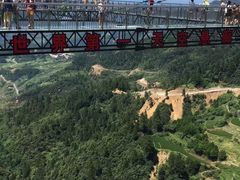 -梦幻奥陶纪景区