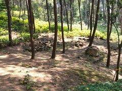 -铁山坪森林公园