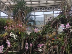 -石家庄市植物园