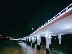 -演武大桥观景平台