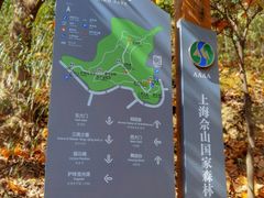 -上海佘山国家森林公园天马山园