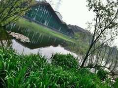 android_upload_pic-西湖风景区-江洋畈生态公园