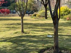 -新天地活力PARK