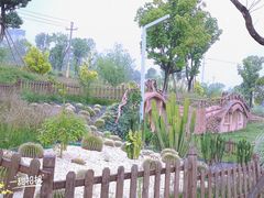 -安宁市宁湖森林公园