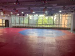 -陈中跆拳道(中关村馆)