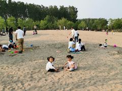 -东郊湿地公园
