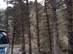 -硗碛藏寨·神木垒景区