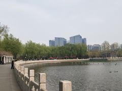 -莲花池公园