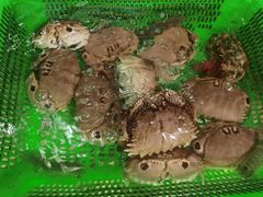 -后田海鲜餐厅(南澳香湖湾店)