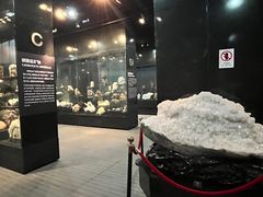 -烟台市博物馆