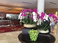 -新加坡瑞士史丹福酒店