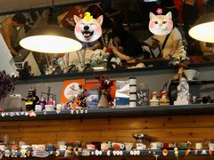 大堂-Be Lived Cafe比例咖啡(摩天轮店)