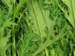-素满香·食养自助(天一广场店)