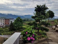 -乌石村