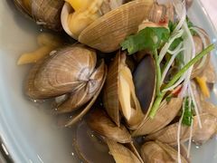 一桶蚬子-渔娘渔家丹东海鲜(东直门店)