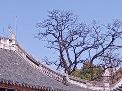 -龙华寺