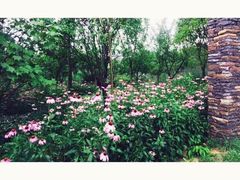 -贵阳市花溪国家城市湿地公园