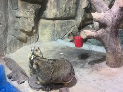 -正佳雨林生态植物园