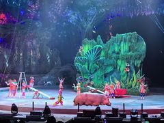 -广州长隆国际大马戏