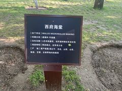 -元大都城垣遗址公园