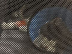 -联合动物医院(光谷诊疗中心)