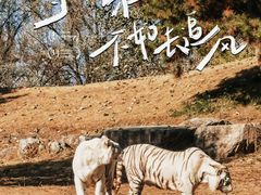 -北京野生动物园