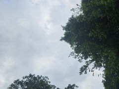 -广州市帽峰山景区