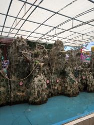 -大望京儿童游乐场