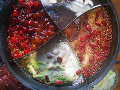 -白乐天毛肚火锅馆(南滨路店)