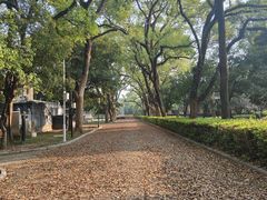 -桂林独秀峰王城景区
