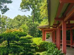 -南山植物园