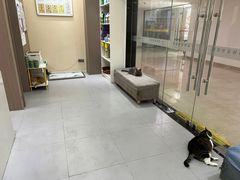 -派特宠物医院(圆融广场店)