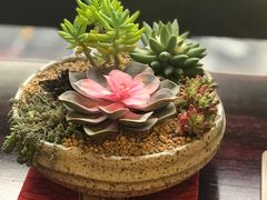 -肆兮眼镜·蔡司·徕卡战略合作店(大坪店)