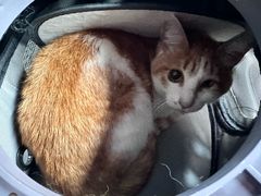 -爱侣宠医·鹦鹉专科·小型哺乳类·异宠专科(灵石路店)