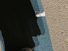 -三里屯东五街银杏大道