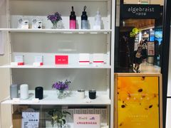 -代数学家algebraist(诚品店)