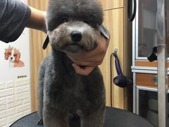 -美联众合动物医院·24h京西诊疗中心