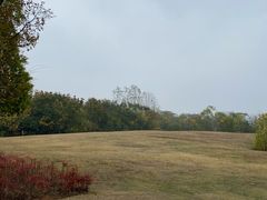 -盘龙城国家考古遗址公园