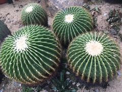 -华南国家植物园-售票处