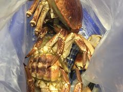 -盒马鲜生(大成店)
