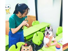 -新东方学习规划(南二环第一校区)