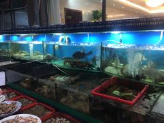 水产区-大洋海鲜居·海鲜特色菜(墟沟海鲜美食城店)