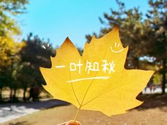 -朝阳公园