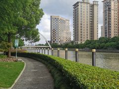 -陈家山荷花公园