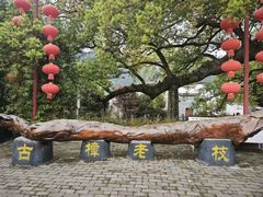 -新安江山水画廊风景区