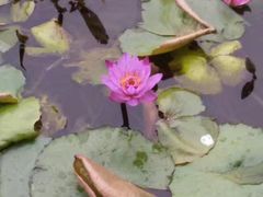 -重庆彩云湖湿地公园