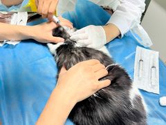 -达爱动物医院·犬猫分区·CT·复杂眼科(远洋山水分院)